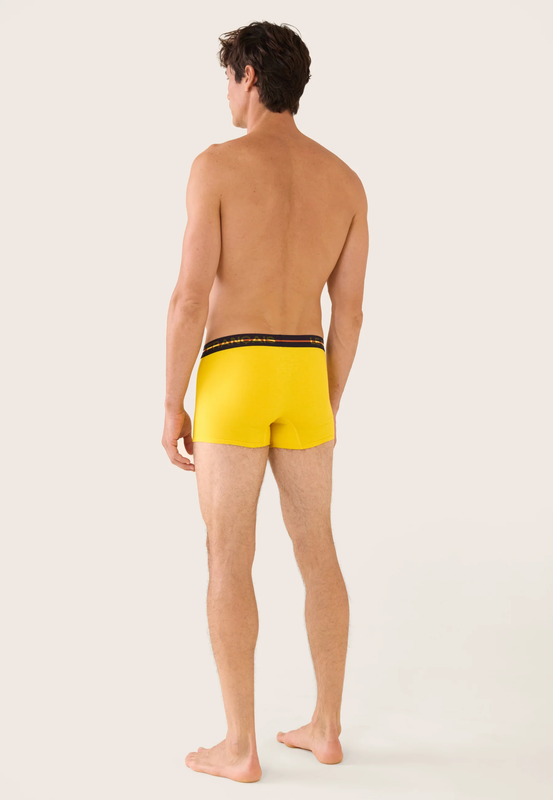 Lot de 3 boxers en coton - Boxers Jungle Kaki Veronese Jaune Citron Marine - Image 4